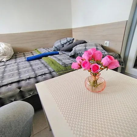 Attic * Varna
