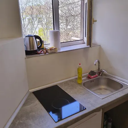 Attic Apartment