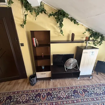 Attic * Varna