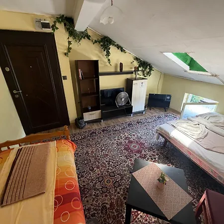 Attic Apartment *