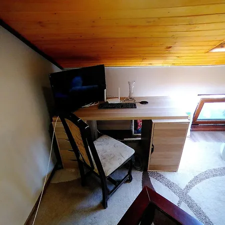 Apartment Attic